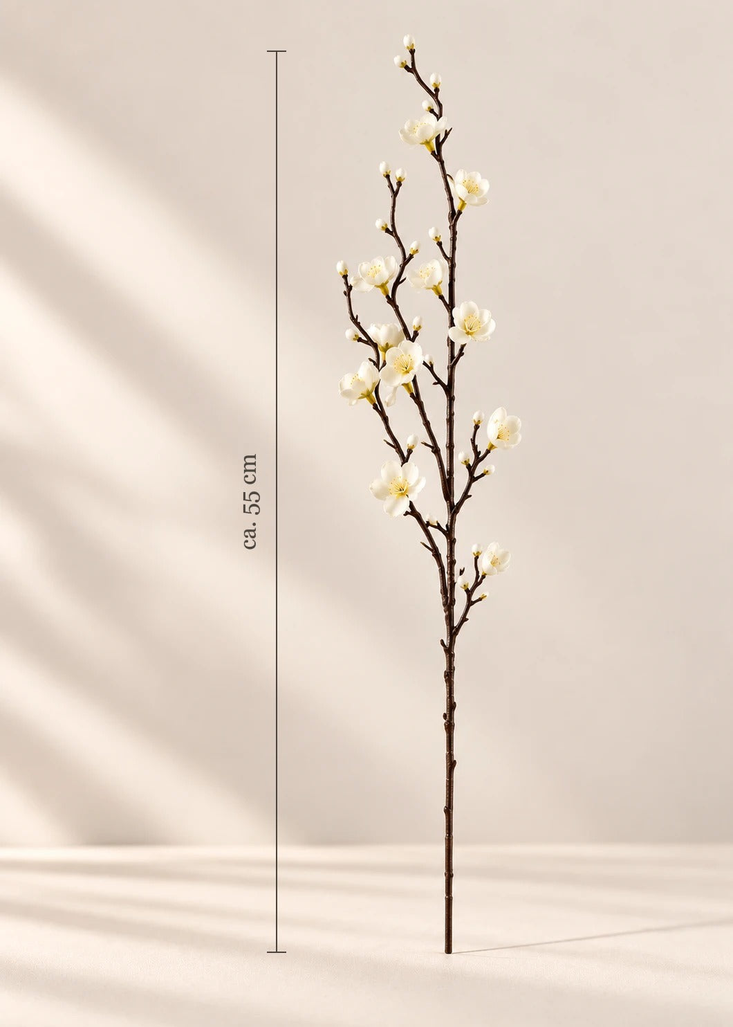 Pflaumenblüte – Maße (Creme, Rosa, Rot)