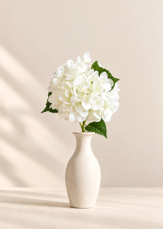 Hortensie in Weiß
