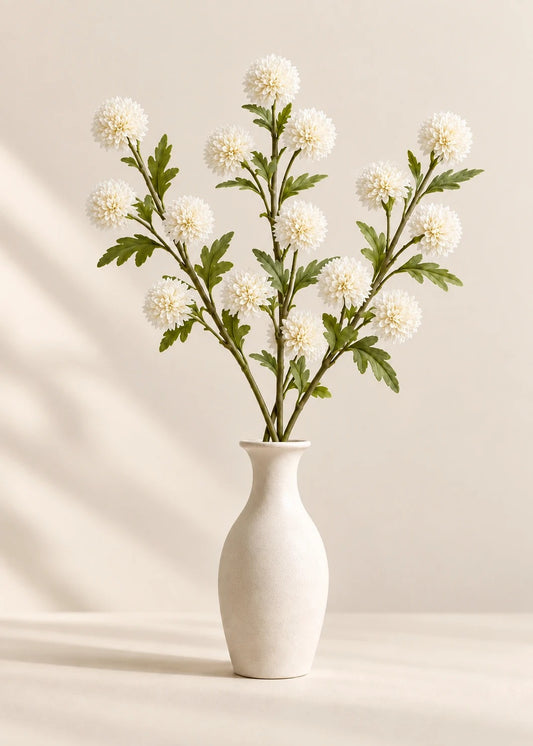 Mini-Chrysantheme in Weiß