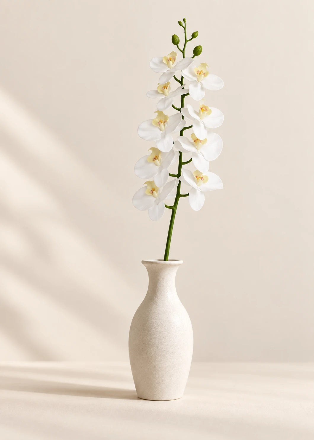 Orchidee in Weiß