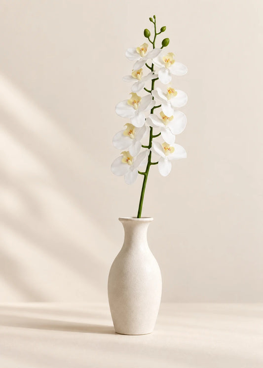 Orchidee in Weiß