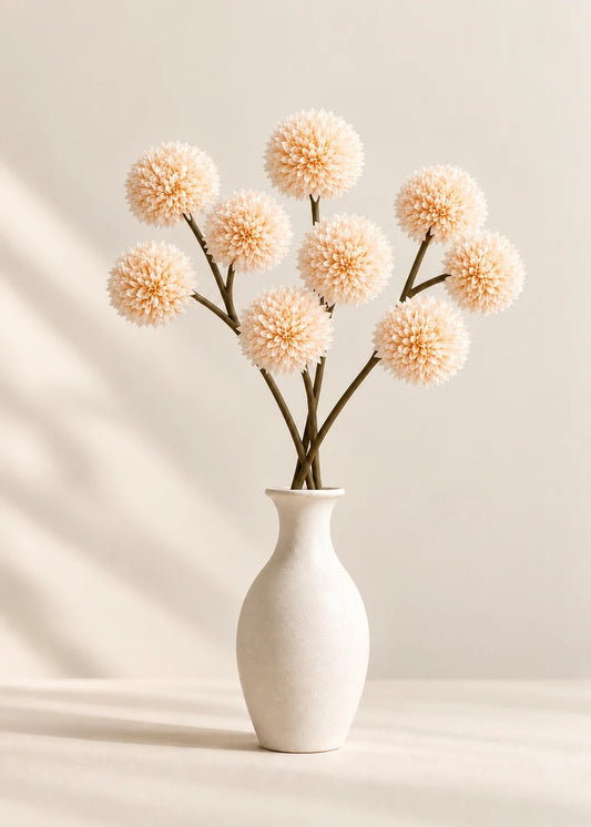 Pompon-Chrysantheme in Creme
