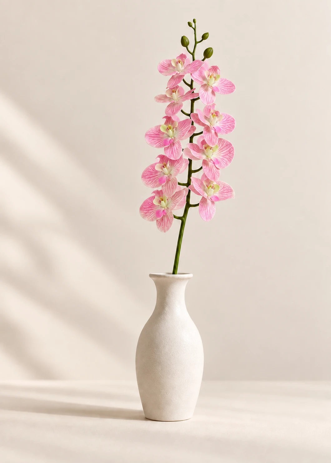 Orchidee in Rosa