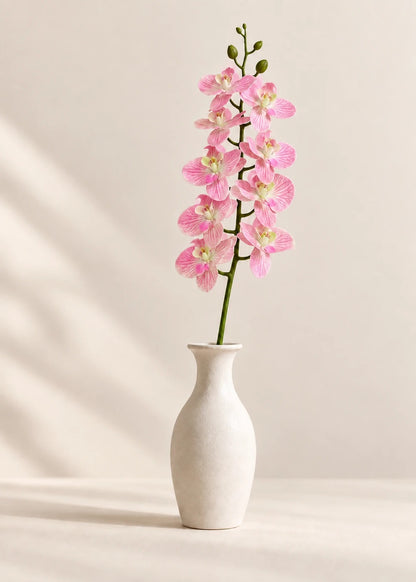 Orchidee in Rosa
