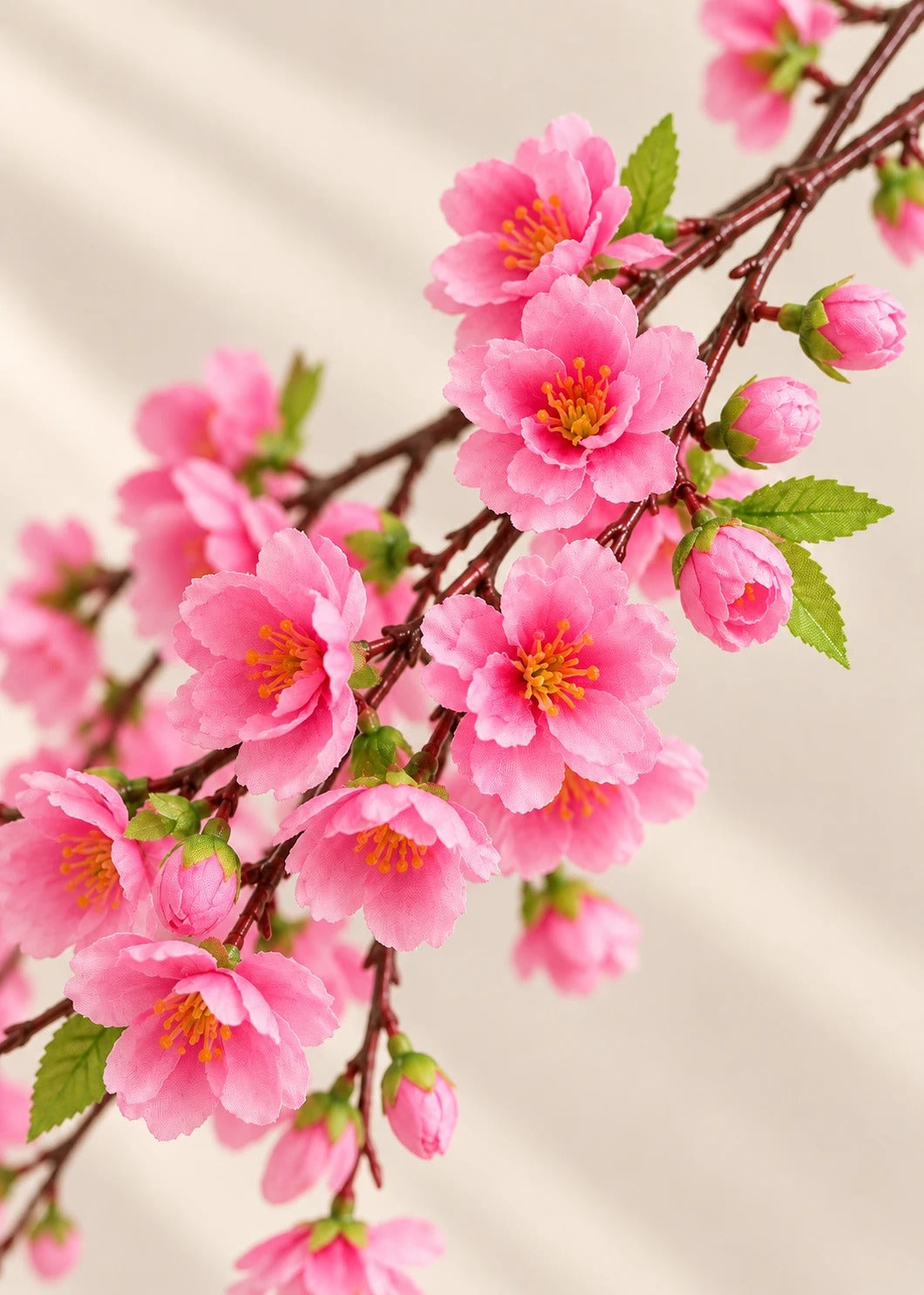 Kirschblüte in Rosa – Detail