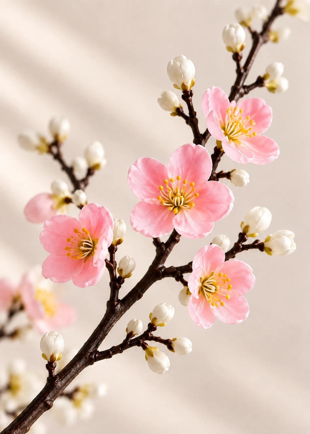 Pflaumenblüte in Rosa – Detail