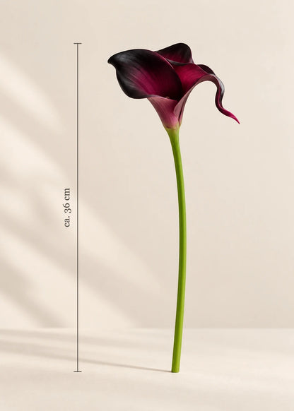 Calla Real Touch – Maße (Burgund, Rosé)