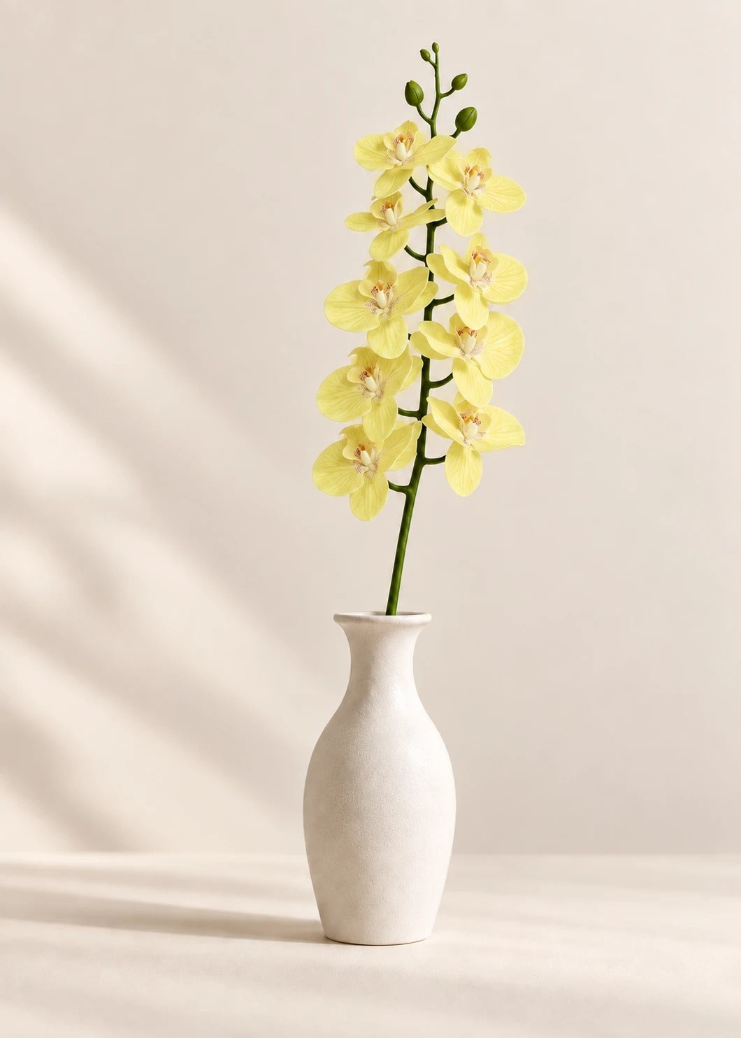 Orchidee in Gelb