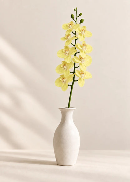 Orchidee in Gelb