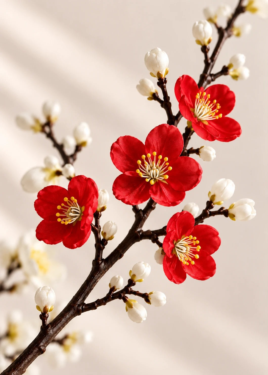 Pflaumenblüte in Rot – Detail