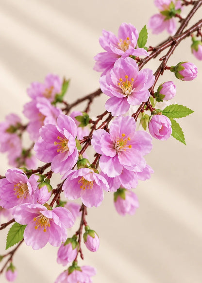 Kirschblüte in Lila – Detail