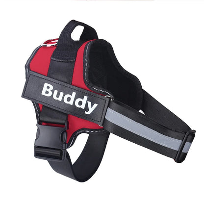 Hundegeschirr mit Namen & Telefonnummer – lasergraviert