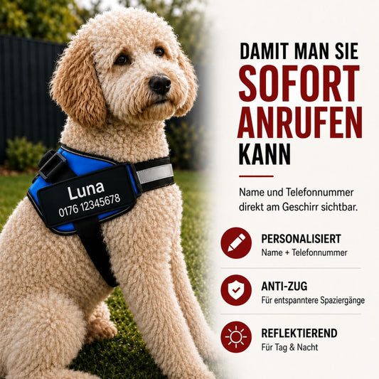 Hundegeschirr mit Namen & Telefonnummer – lasergraviert